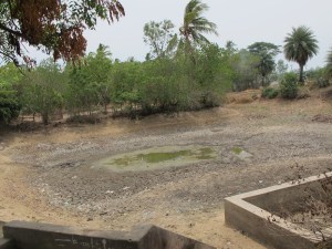 Remote village pond down south TamilNadu